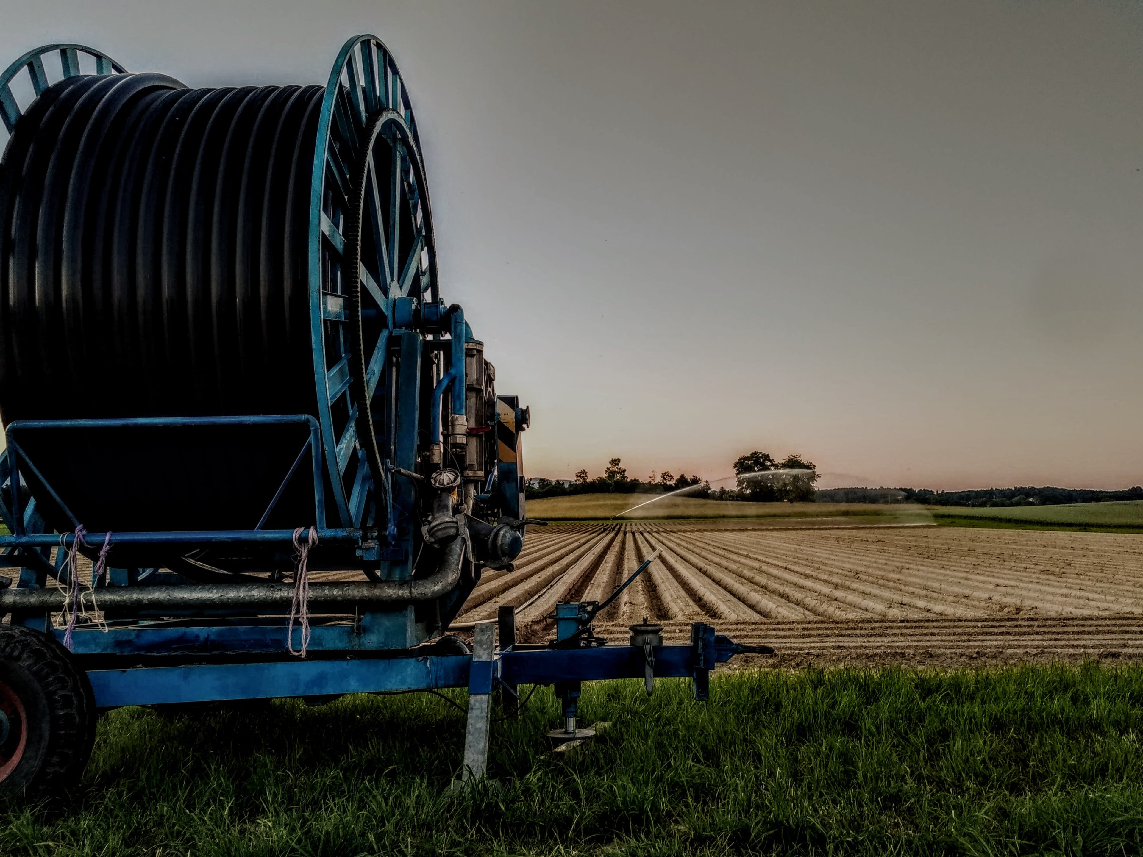 Hauert's Kartoffeln & Linsen, producteur à Niederösch canton de Berne en Suisse,  image 6