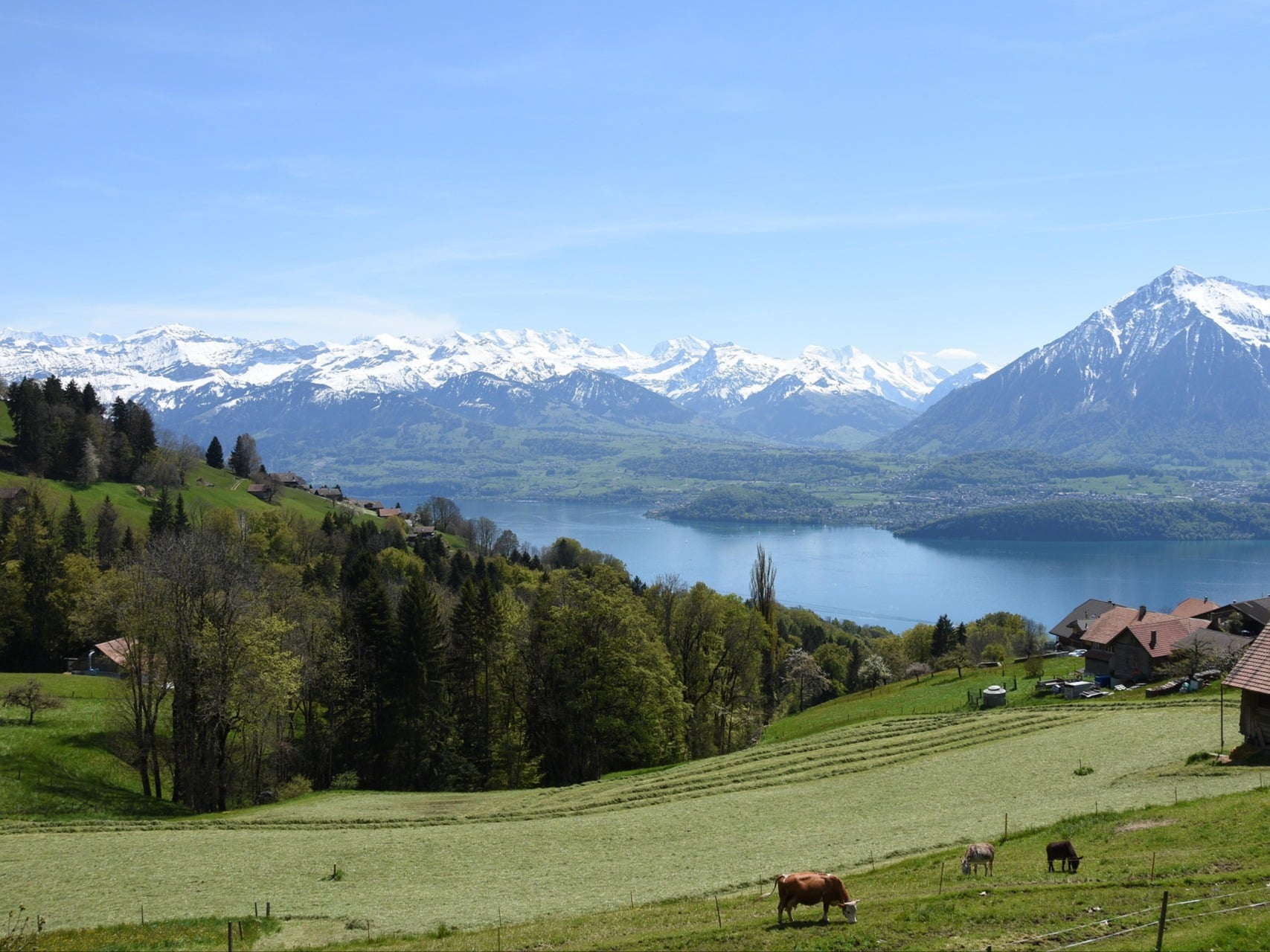 Nature Impulse, producteur à Nyon canton de Vaud en Suisse,  image 1