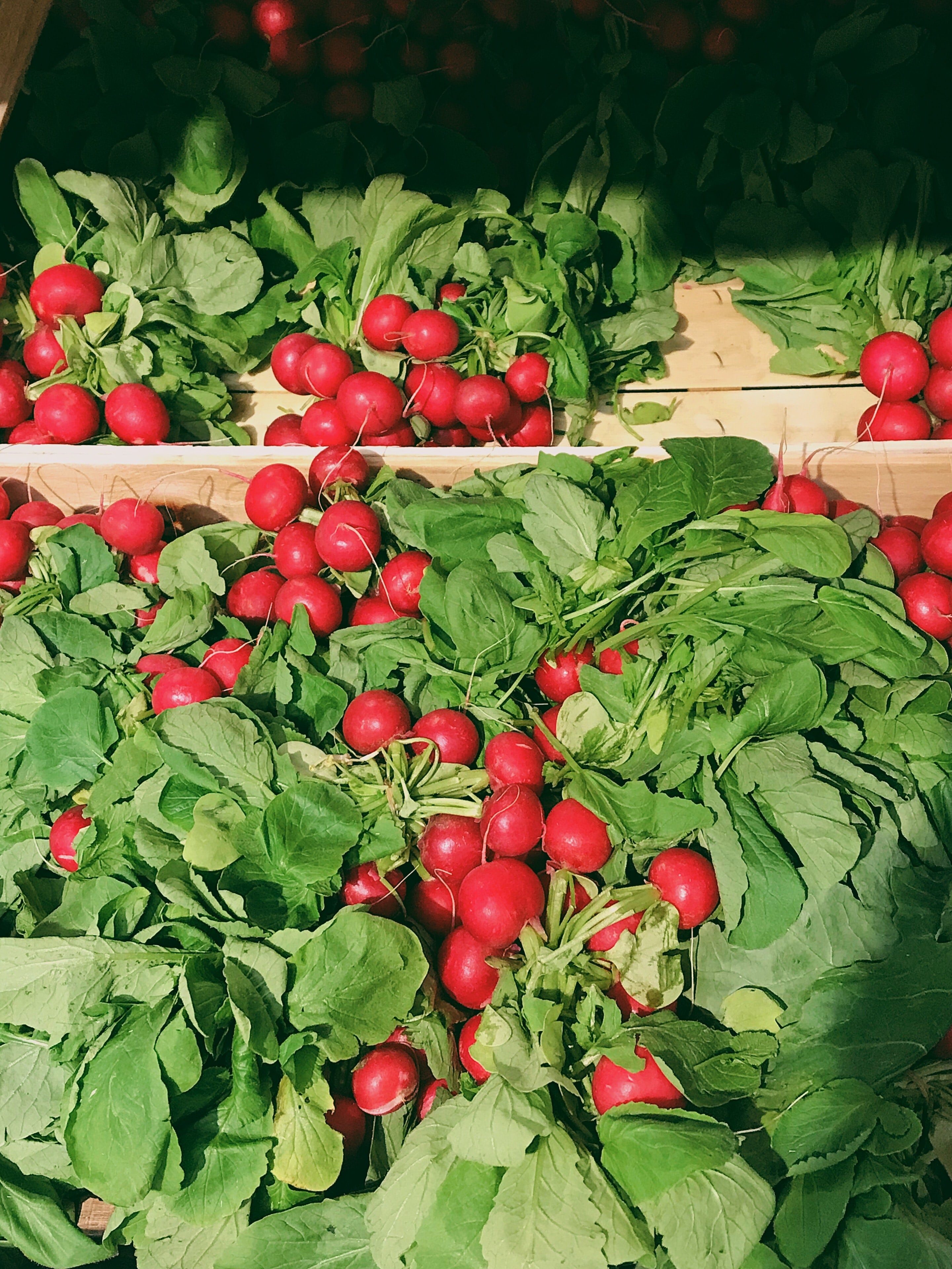 Pesto maison aux fanes de radis et noisettes