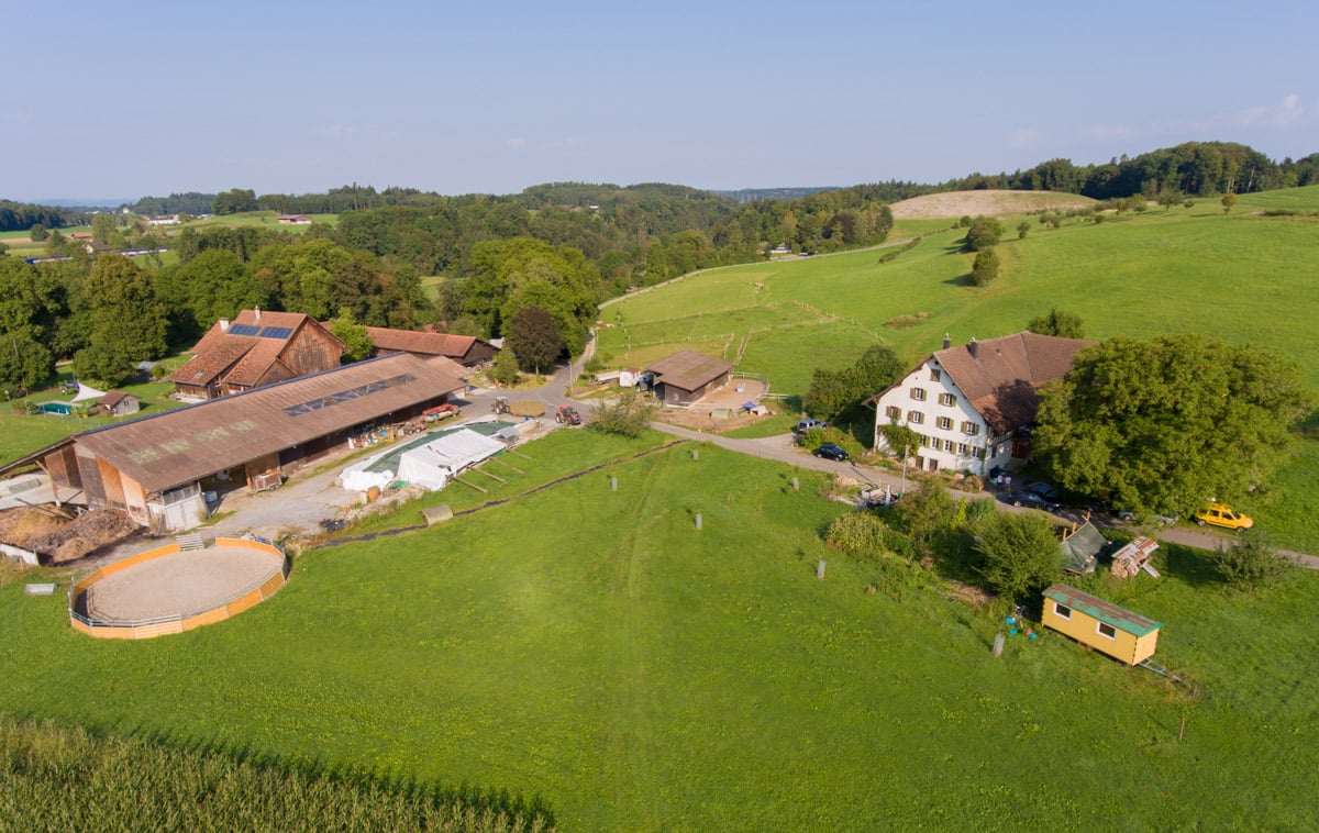 Biolandbau Guggenbüel  Hofladen , produttore nel Illnau-Effretikon canton Zurigo in Svizzera,  foto 1