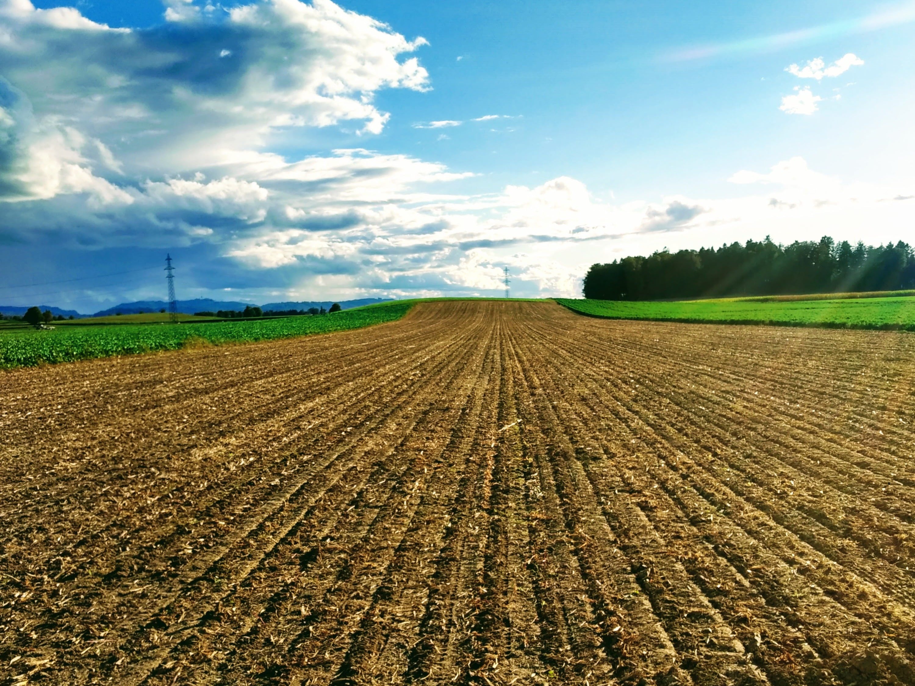 Hauert's Kartoffeln & Linsen, producteur à Niederösch canton de Berne en Suisse,  image 7