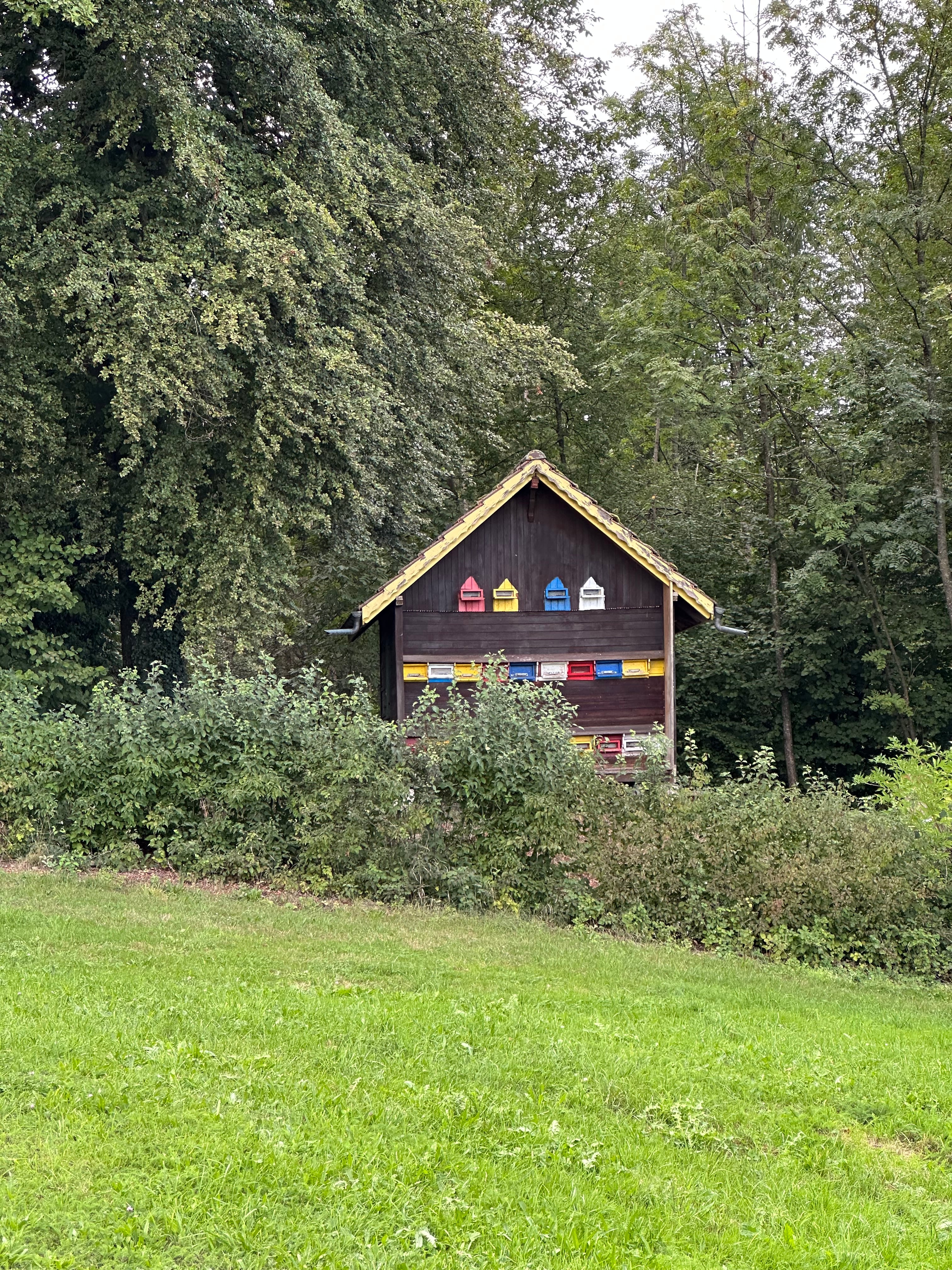 Malika, producteur à Wil canton de Saint-Gall en Suisse,  image 2