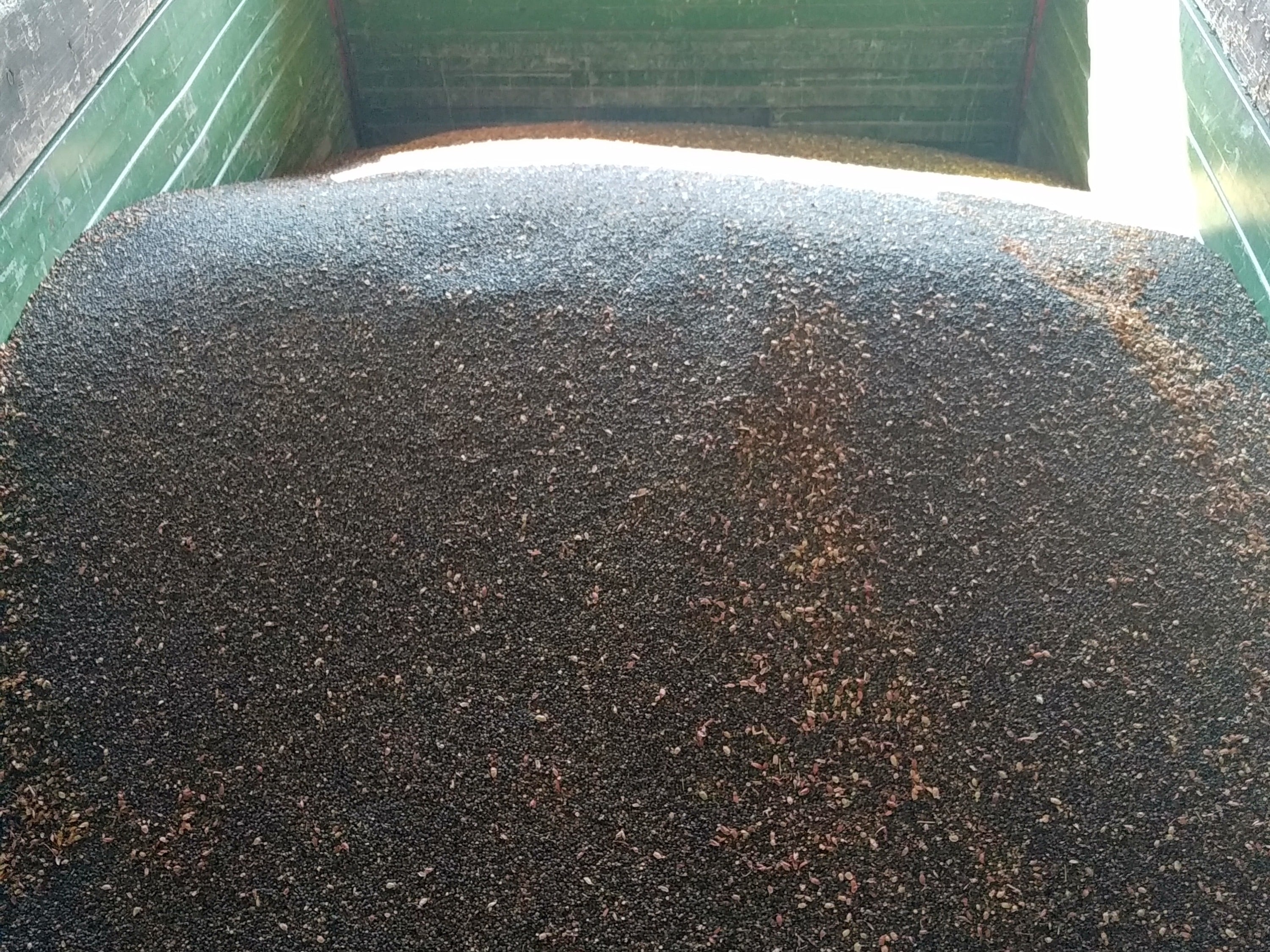 Hauert's Kartoffeln & Linsen, producteur à Niederösch canton de Berne en Suisse,  image 8