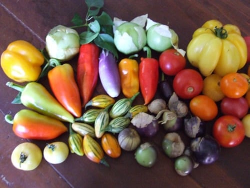 Clos du Moulin, producteur à Cuarny canton de Vaud en Suisse,  image 2