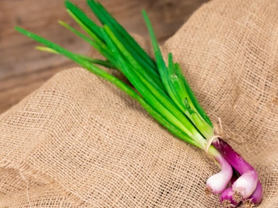 rote Zwiebel, Mimelis - Maraîcher, Carouge, image 1 | Mimelis