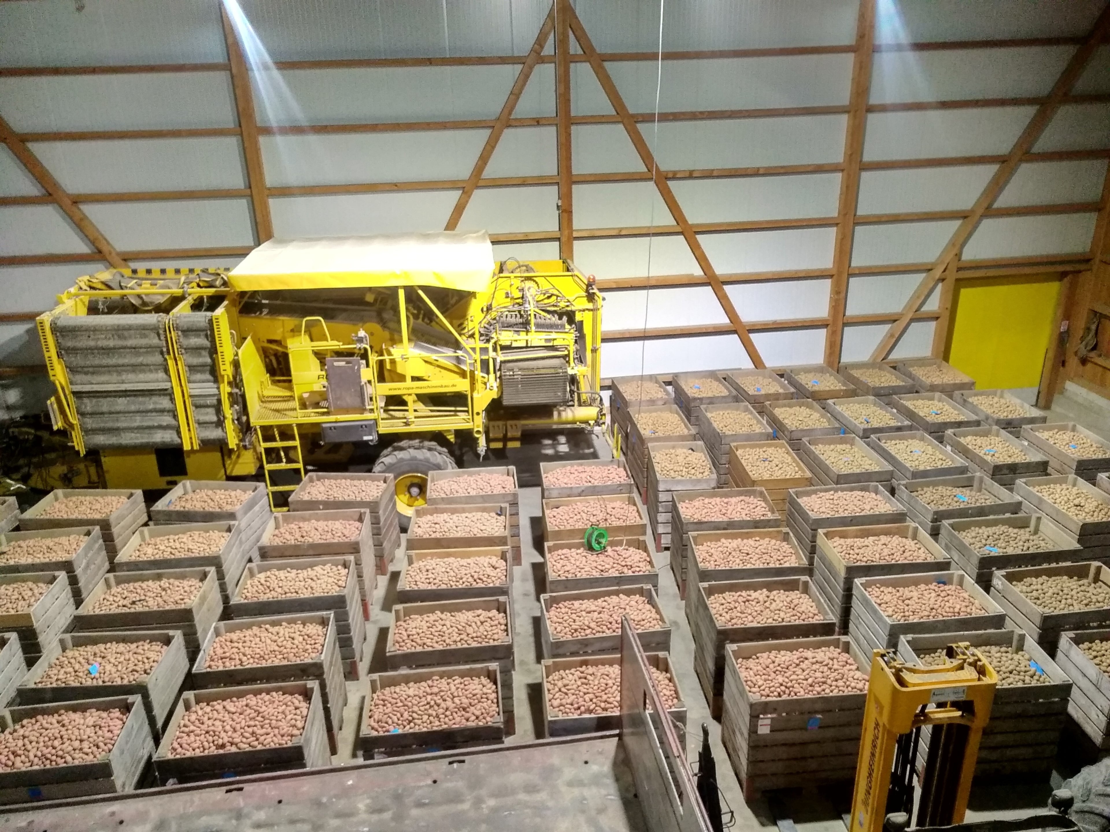 Hauert's Kartoffeln & Linsen, producteur à Niederösch canton de Berne en Suisse,  image 9