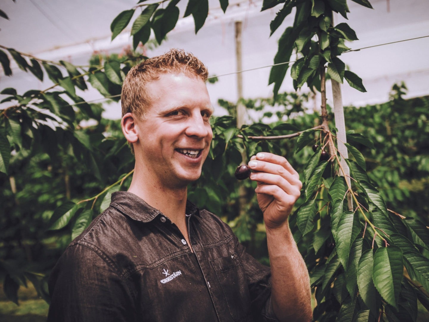 Morgestärn, producteur à Kulmerau canton de Lucerne en Suisse,  image 6