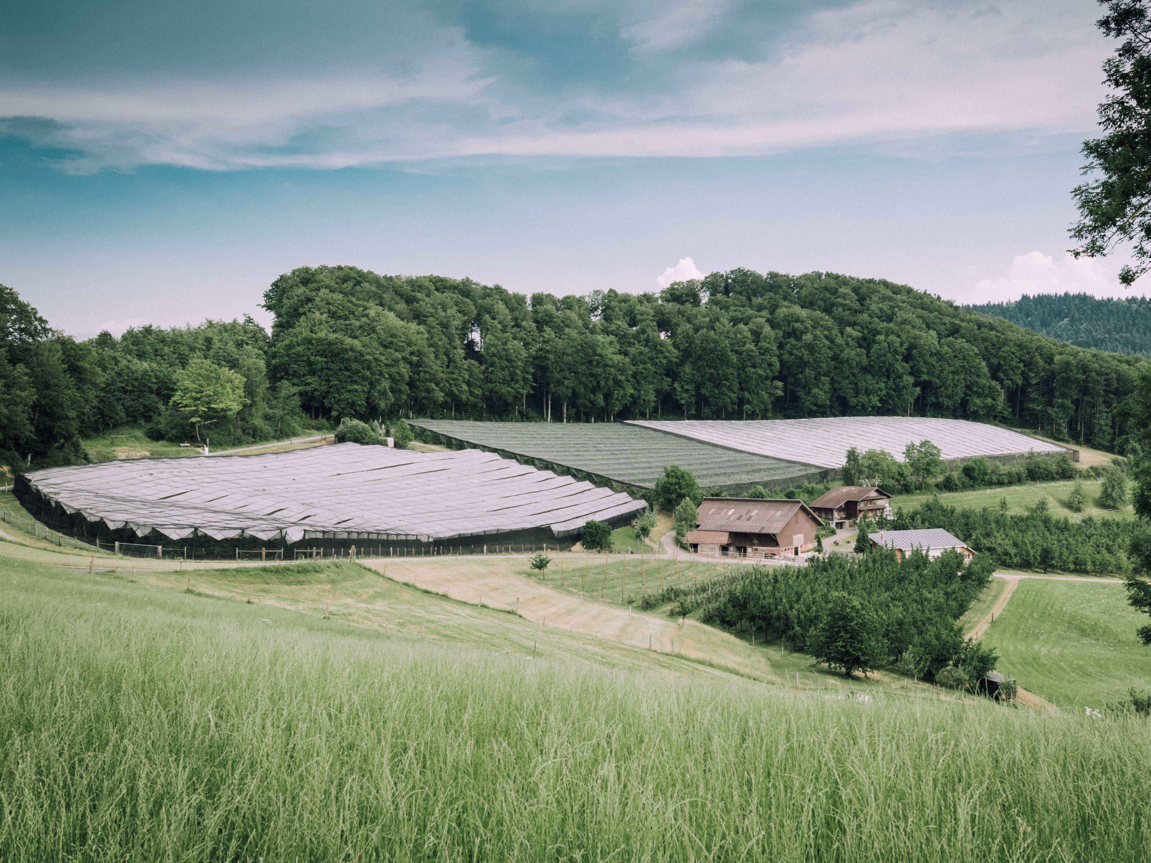 Morgestärn, producteur à Kulmerau canton de Lucerne en Suisse,  image 7
