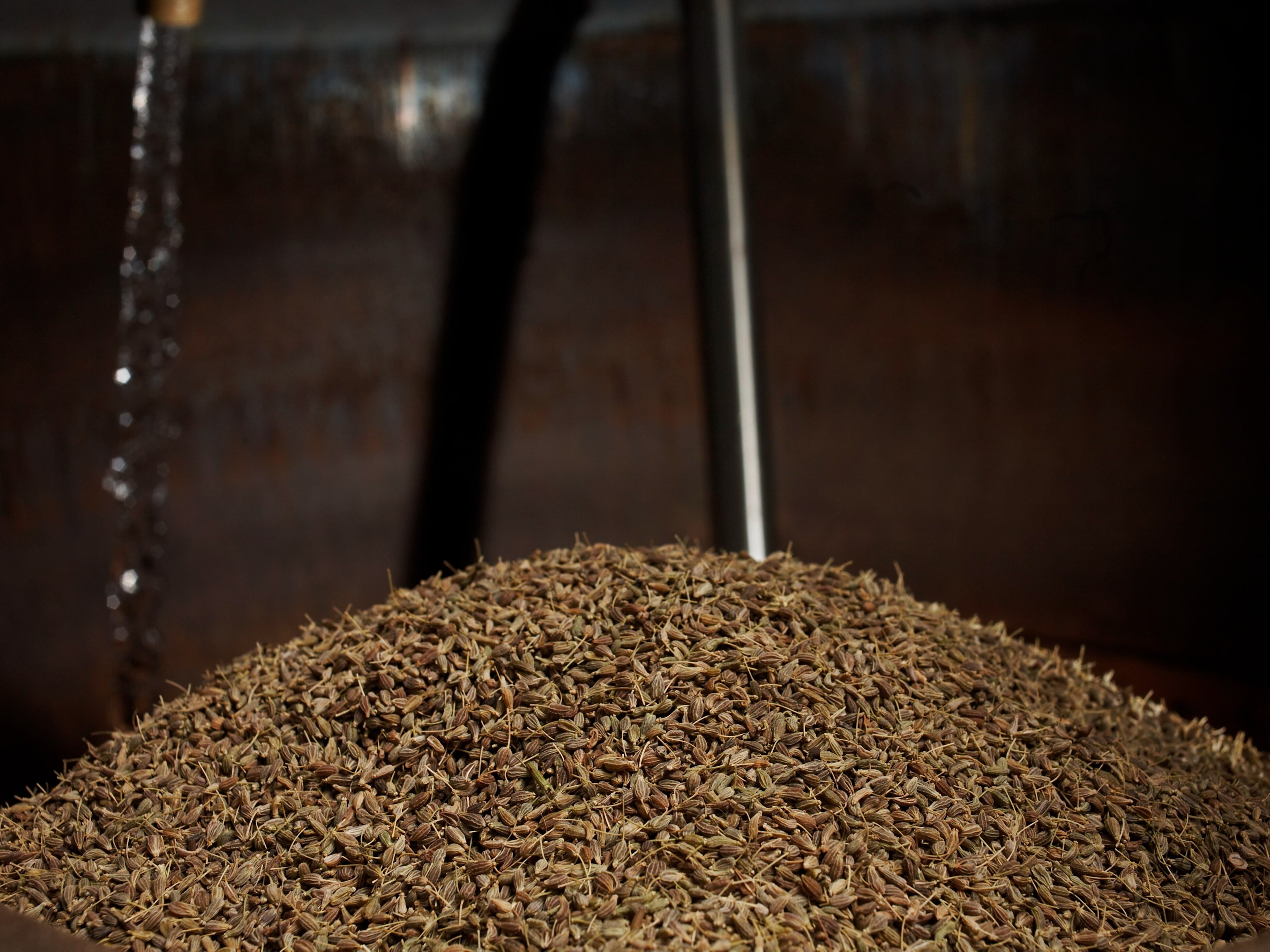 Absinthe Kübler, producteur à Val-de-Travers canton de Neuchâtel en Suisse,  image 4