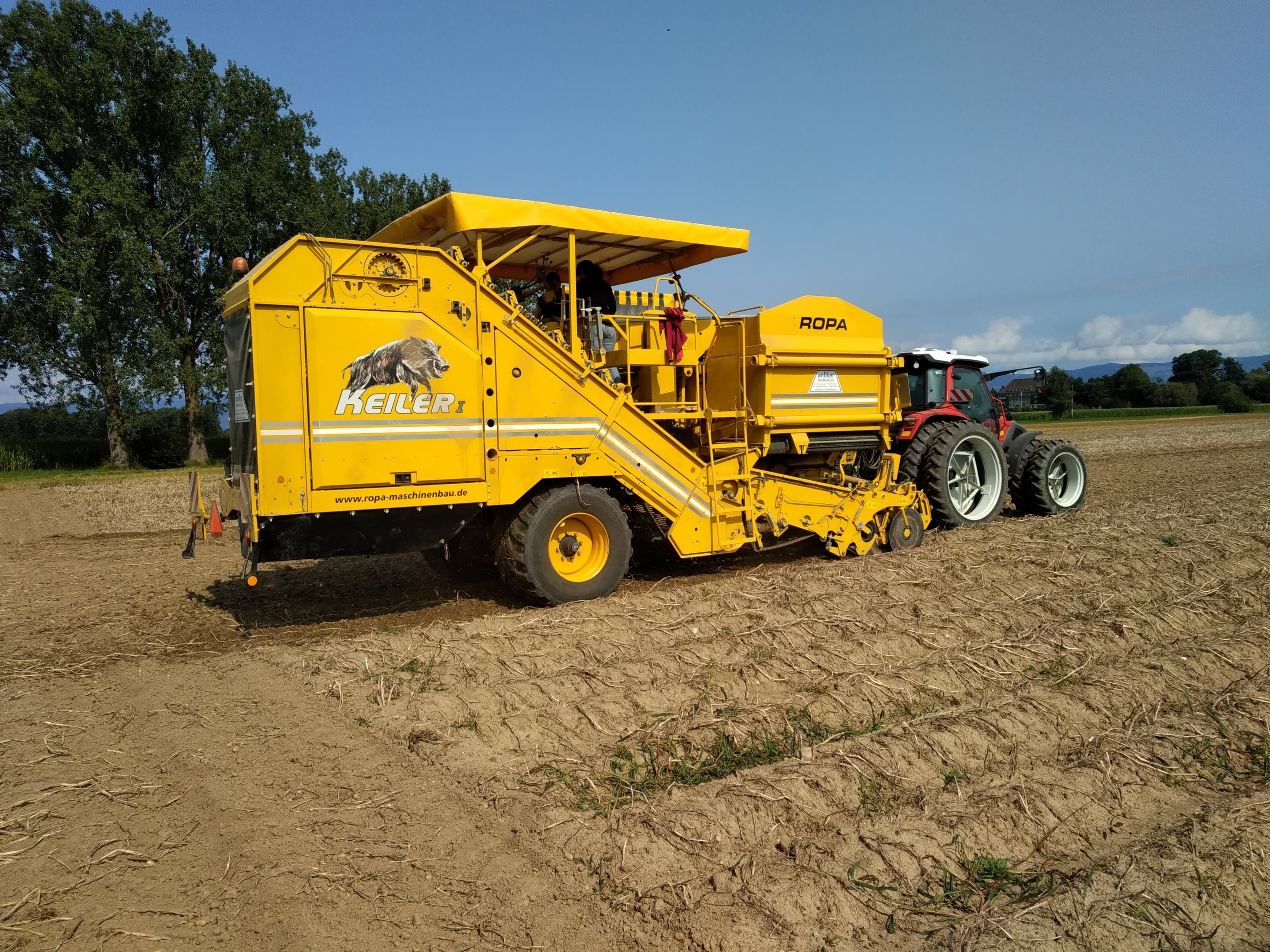 Hauert's Kartoffeln & Linsen, producteur à Niederösch canton de Berne en Suisse,  image 11