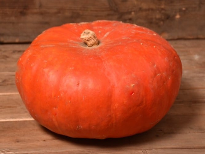 Etampes zucca rossa biologica, Mimelis - Maraîcher, Carouge, image 1 | Mimelis
