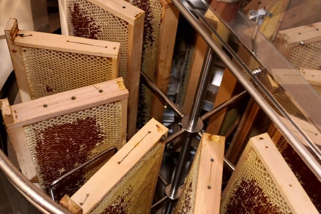 Imkerei Thüler Honig, producteur à Rapperswil BE canton de Berne en Suisse,  image 5