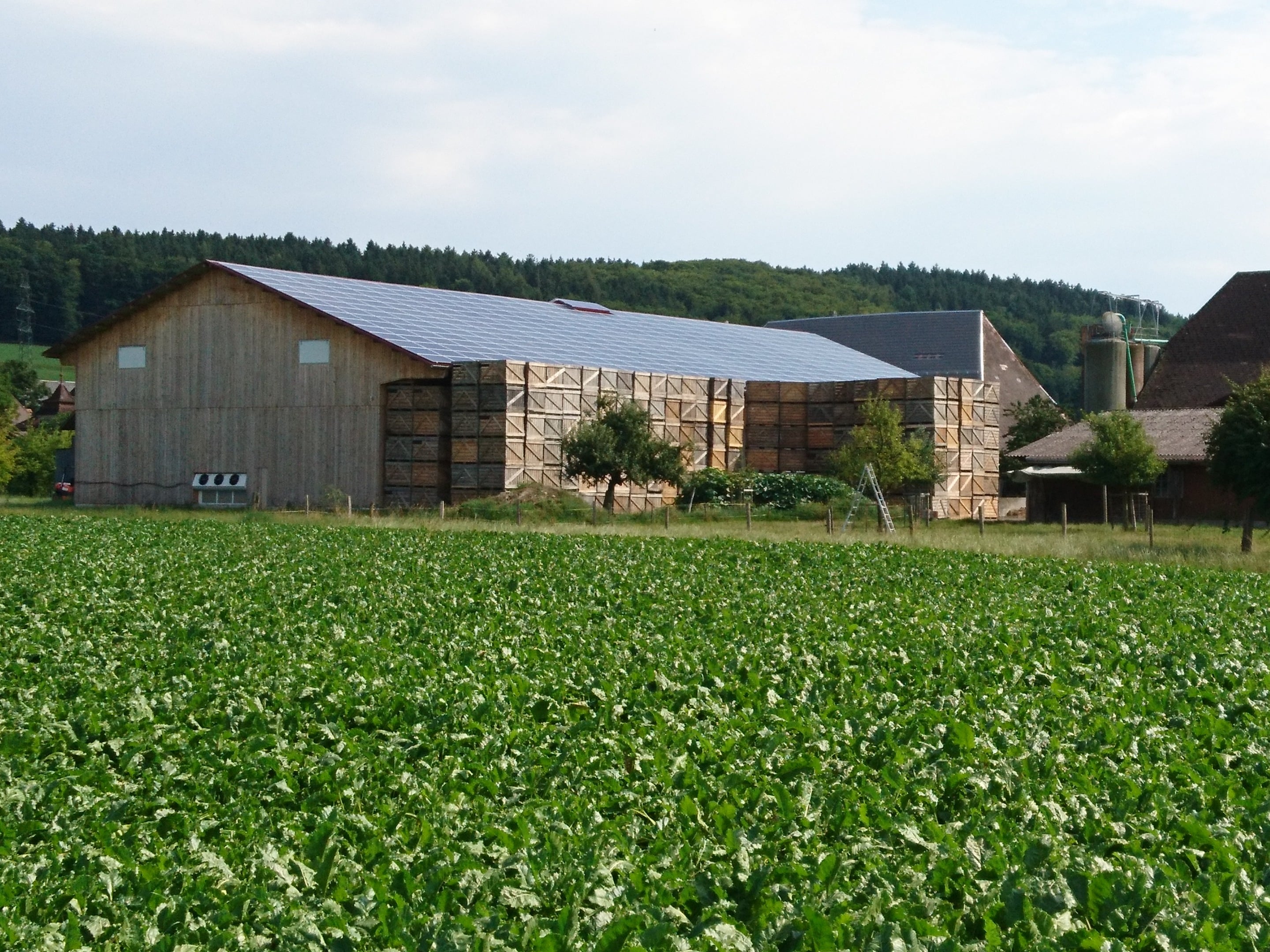 Hauert's Kartoffeln & Linsen, producteur à Niederösch canton de Berne en Suisse