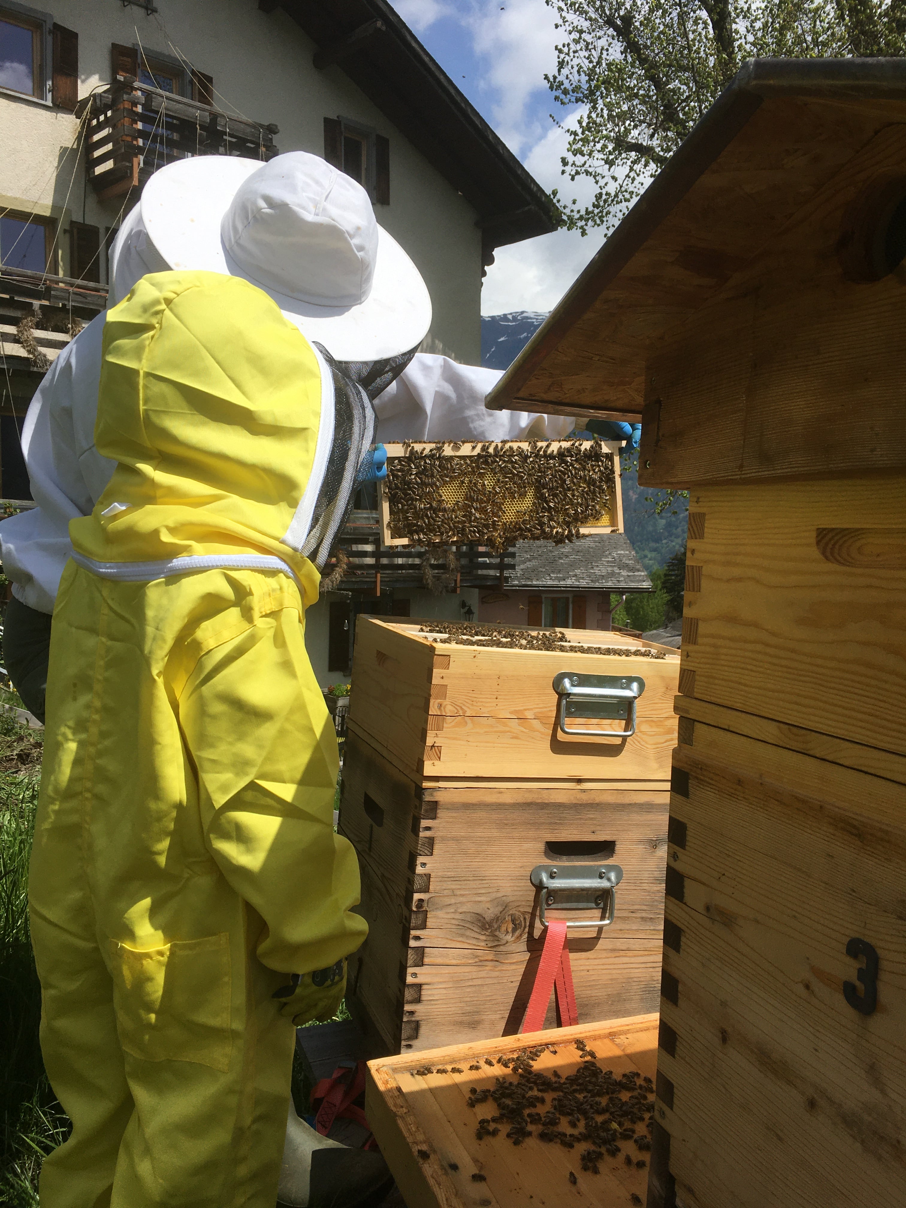Å Produits de la Ruche, producteur à Les Granges (Salvan) canton de Valais en Suisse,  image 7