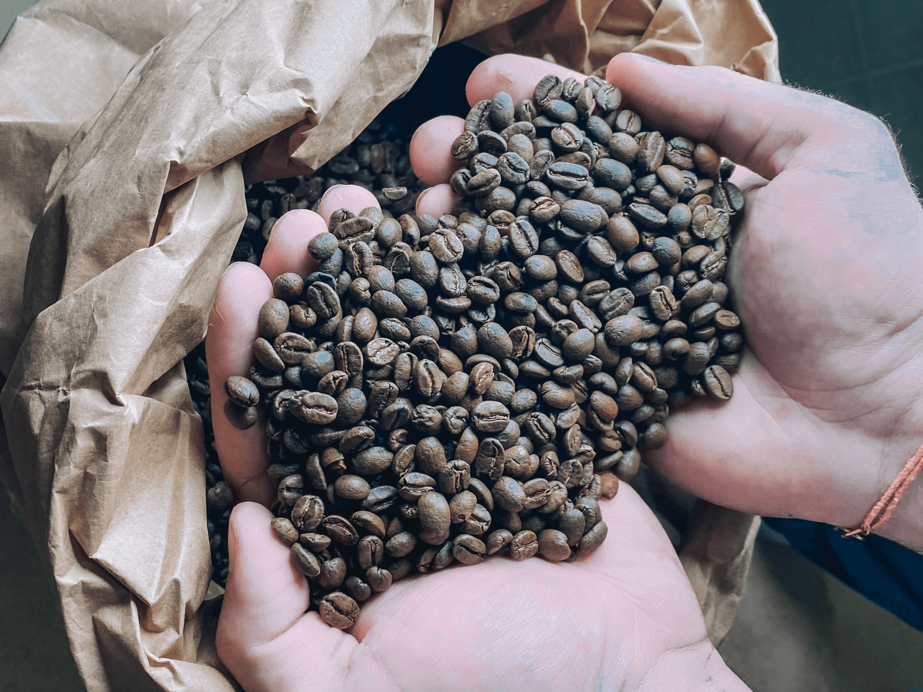 La Coffolaterie, producteur à Meyrin canton de Genève en Suisse,  image 4