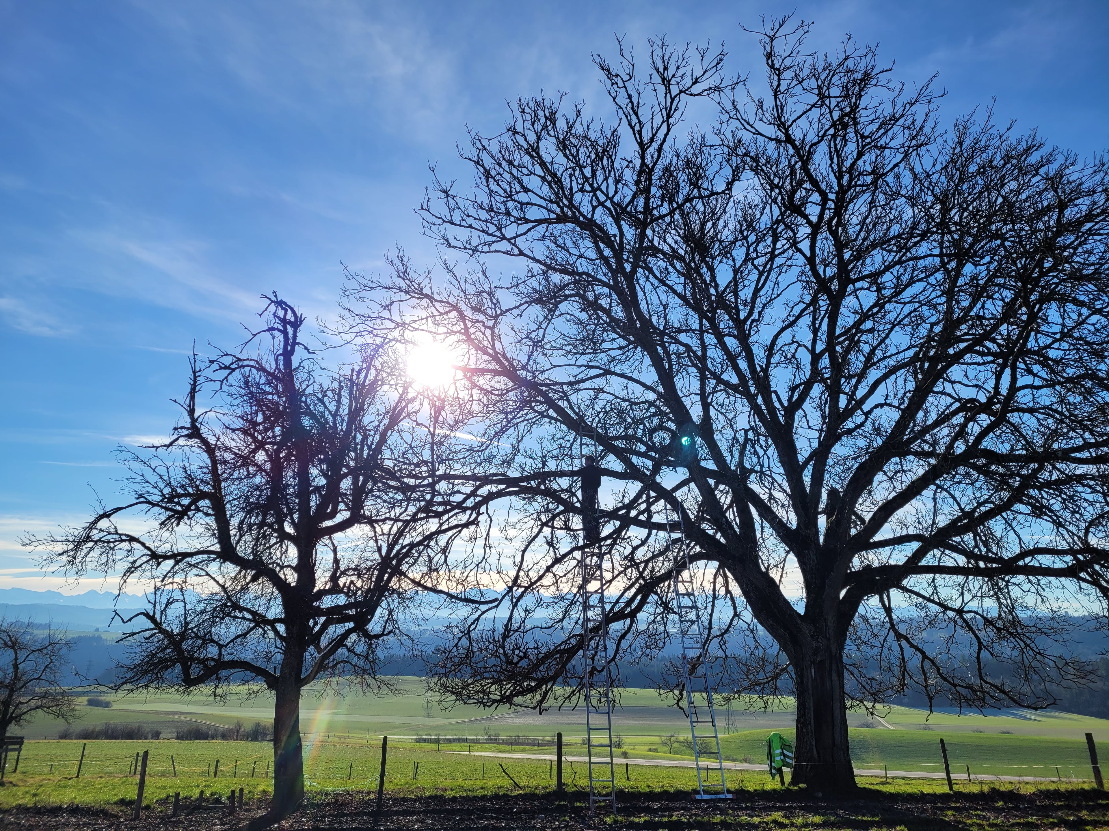 Biohof Lochholz, producteur à Murzelen canton de Berne en Suisse,  image 7