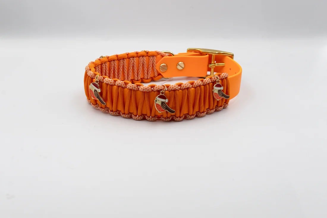 Biothane paracord collar, Luas Manufaktur, Lommiswil, image 1 | Mimelis