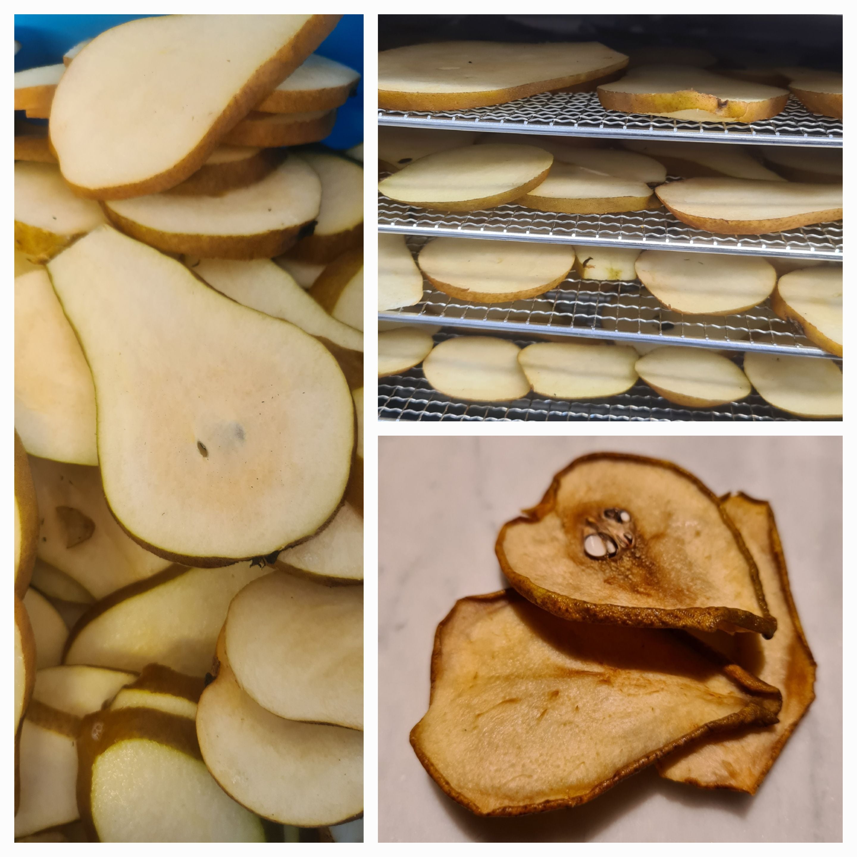 A tutta frutta e non solo, Produzent in Lottigna Kanton Tessin in der Schweiz,  Bild 11