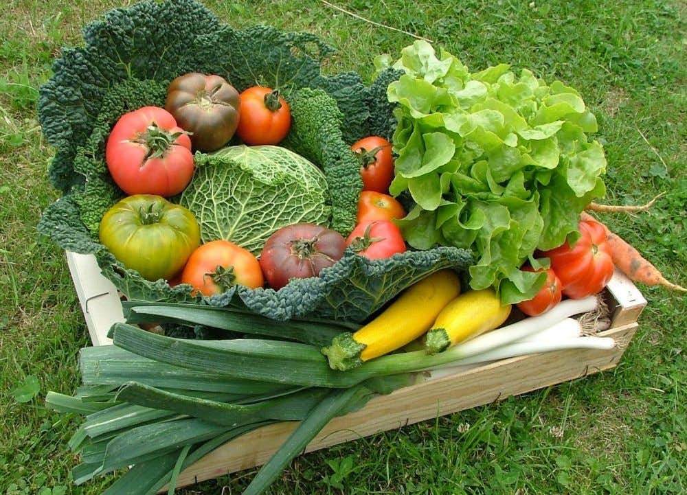 Gemüsekorb direkt vom Erzeuger verkauft