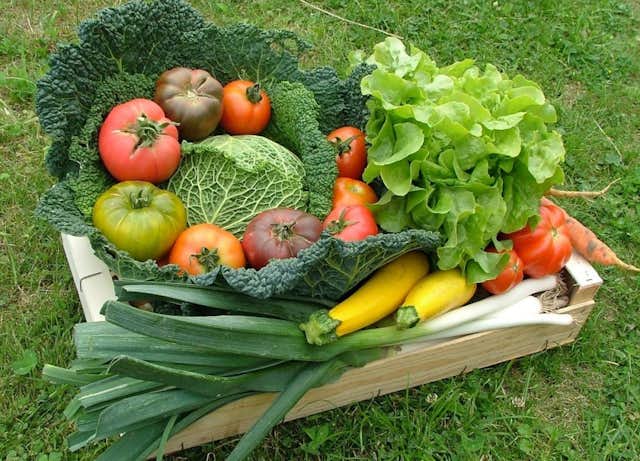 Gemüsekorb direkt vom Erzeuger verkauft