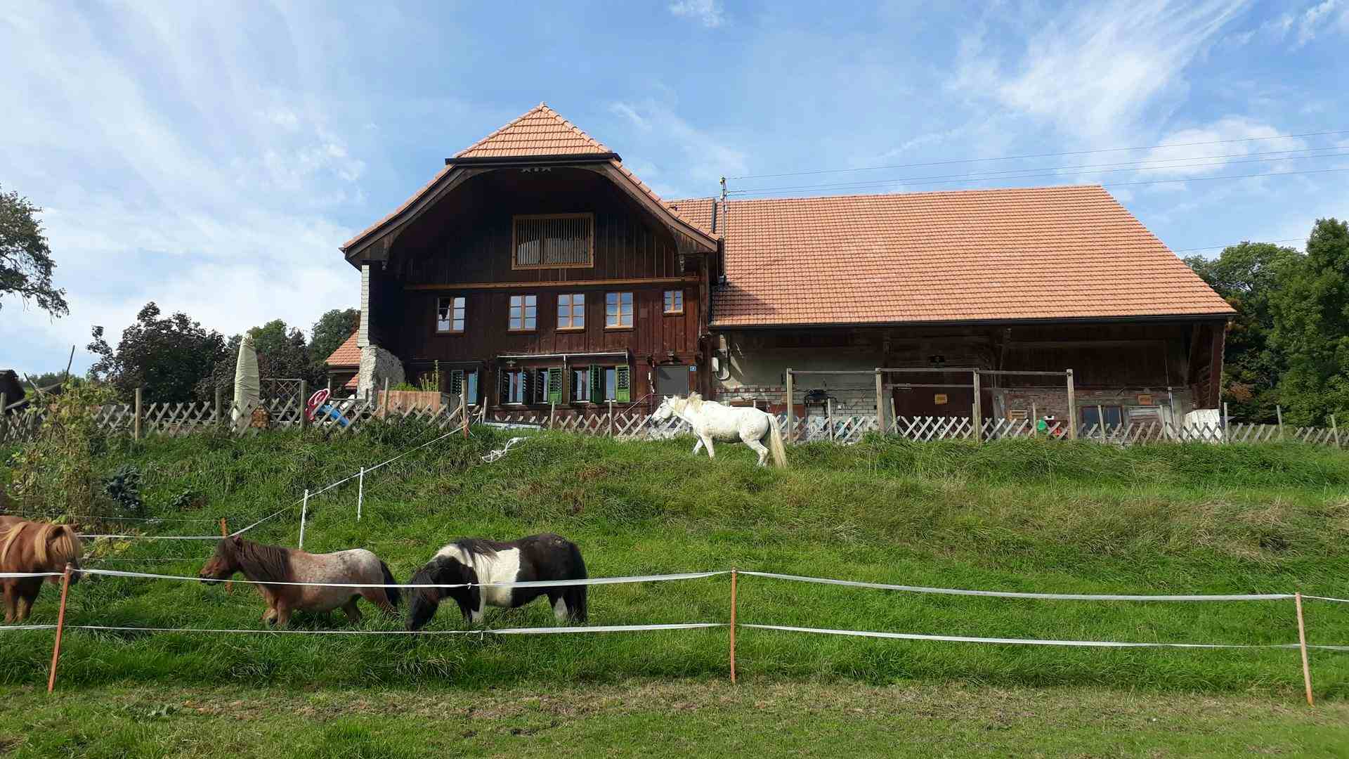 Muhof, produttore nel Gstaad canton Berne in Svizzera