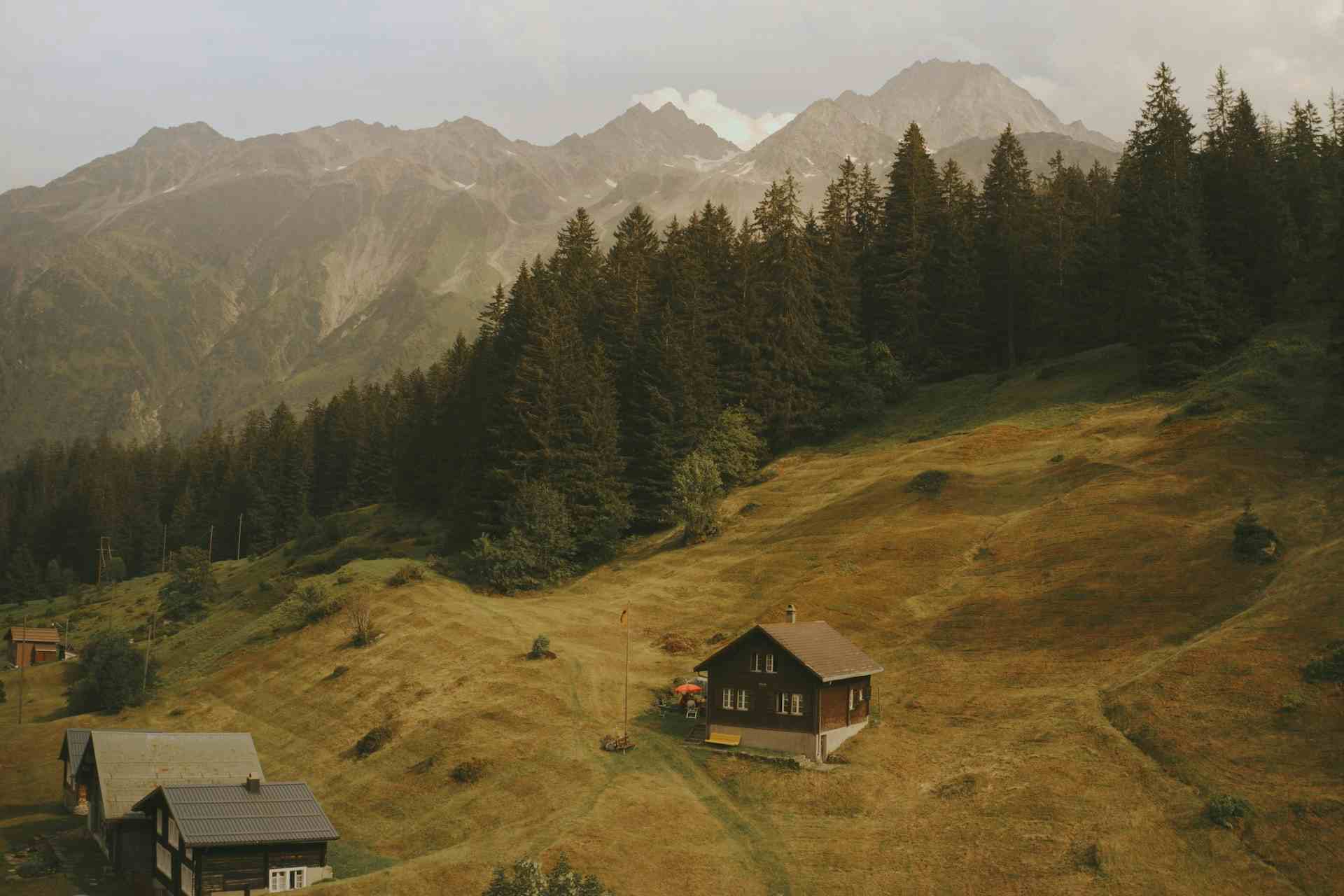 Alpengitzi, producteur à Silenen canton de Uri en Suisse