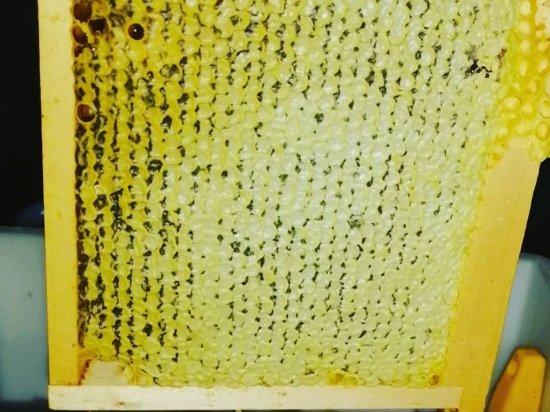 Merveilleuses abeilles , Produzent in Sion Kanton Wallis in der Schweiz,  Bild 1