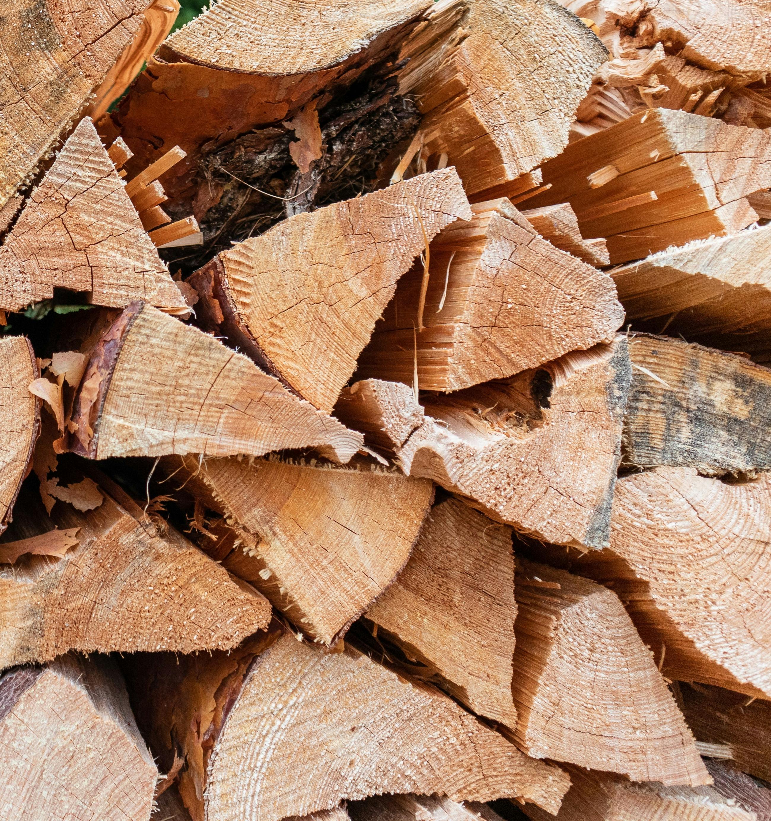 Proponete le vostre offerte di legno e legna da ardere sulla nostra applicazione. | Mimelis