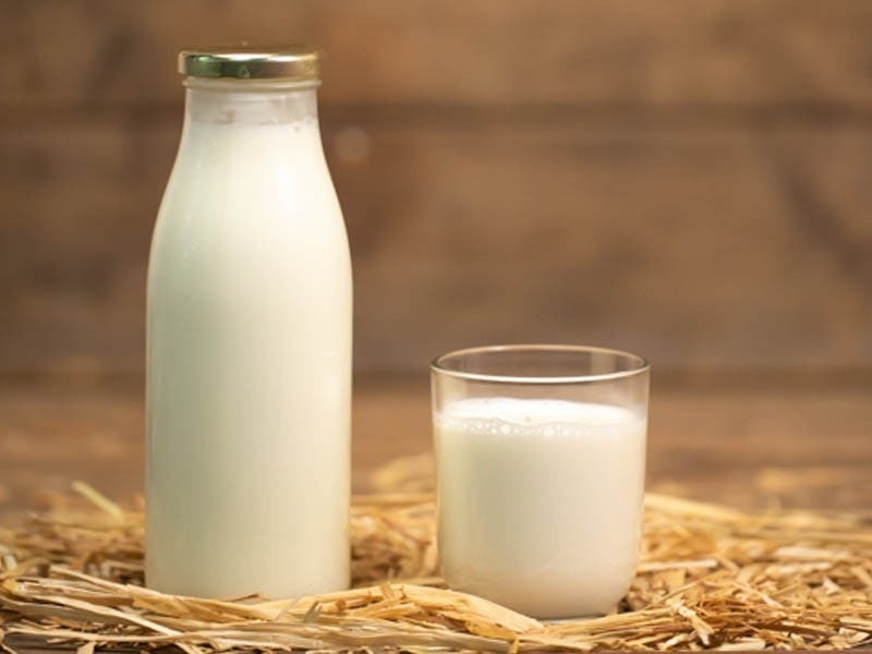 Whole Fresh Organic Cow's Milk, Mimelis - Marché de Carouge, Carouge, image 1 | Mimelis