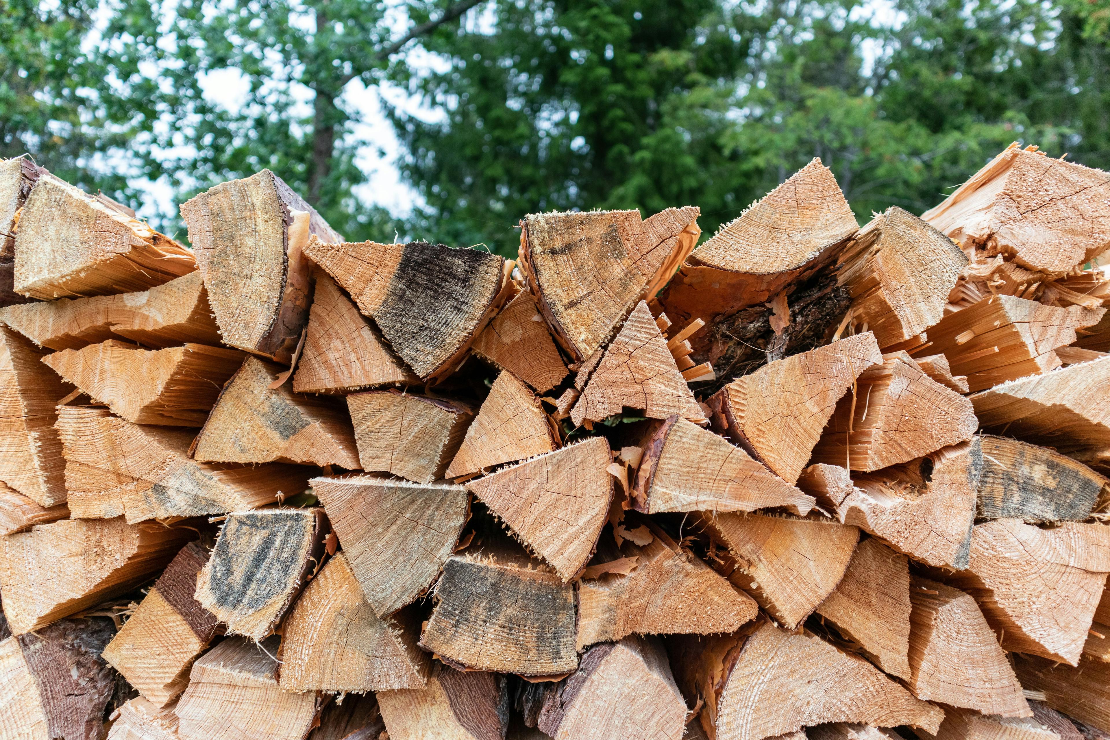 Starten, verwalten und erweitern Sie Ihr Brennholzgeschäft