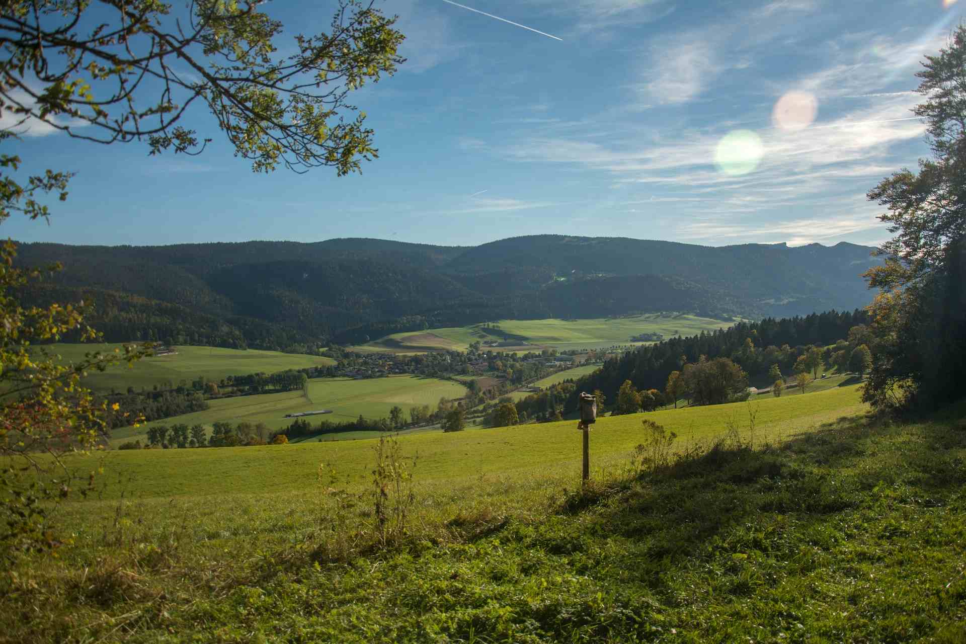 Domaine de l'Aurore, Produzent in Cernier Kanton Neuenburg in der Schweiz