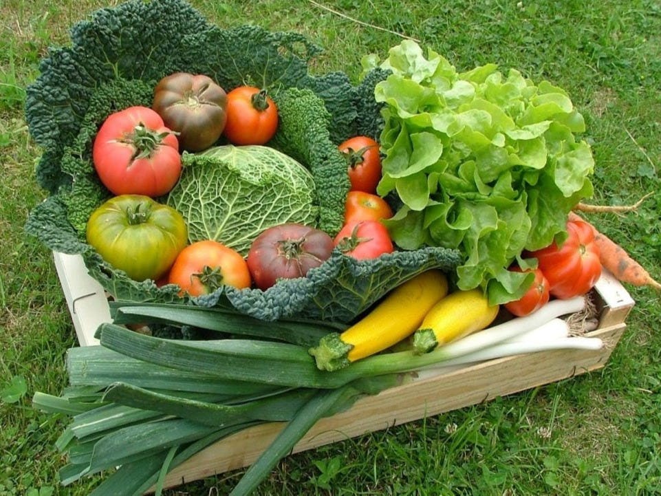 Korb mit Bio-Gemüse - Familie, Mimelis - Maraîcher, Carouge, image 1 | Mimelis