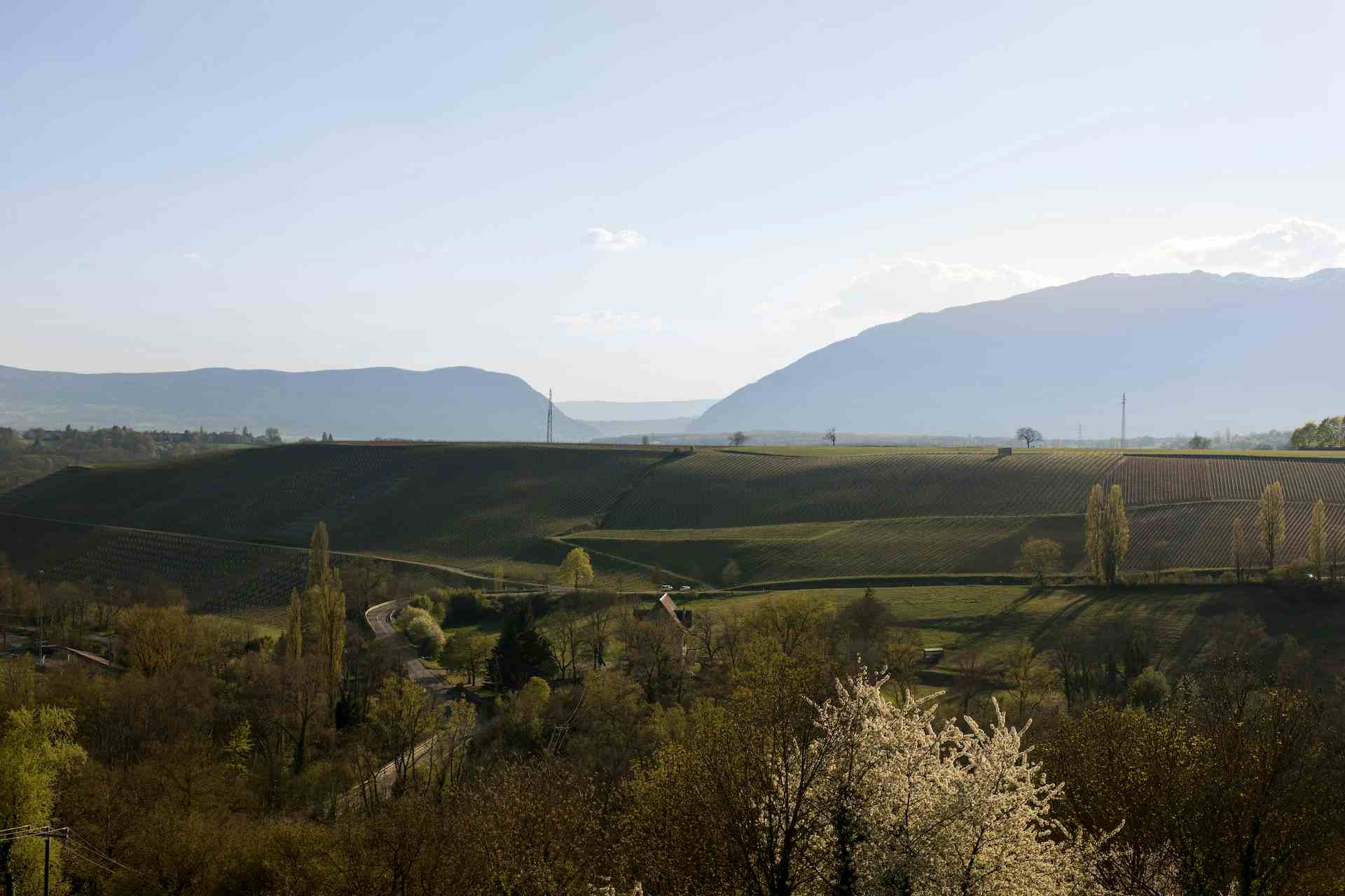 Les Vallières, Produzent in Satigny Kanton Genf in der Schweiz
