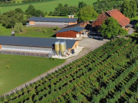 Biohof Toppler, Produzent in Erlen Kanton Thurgau in der Schweiz