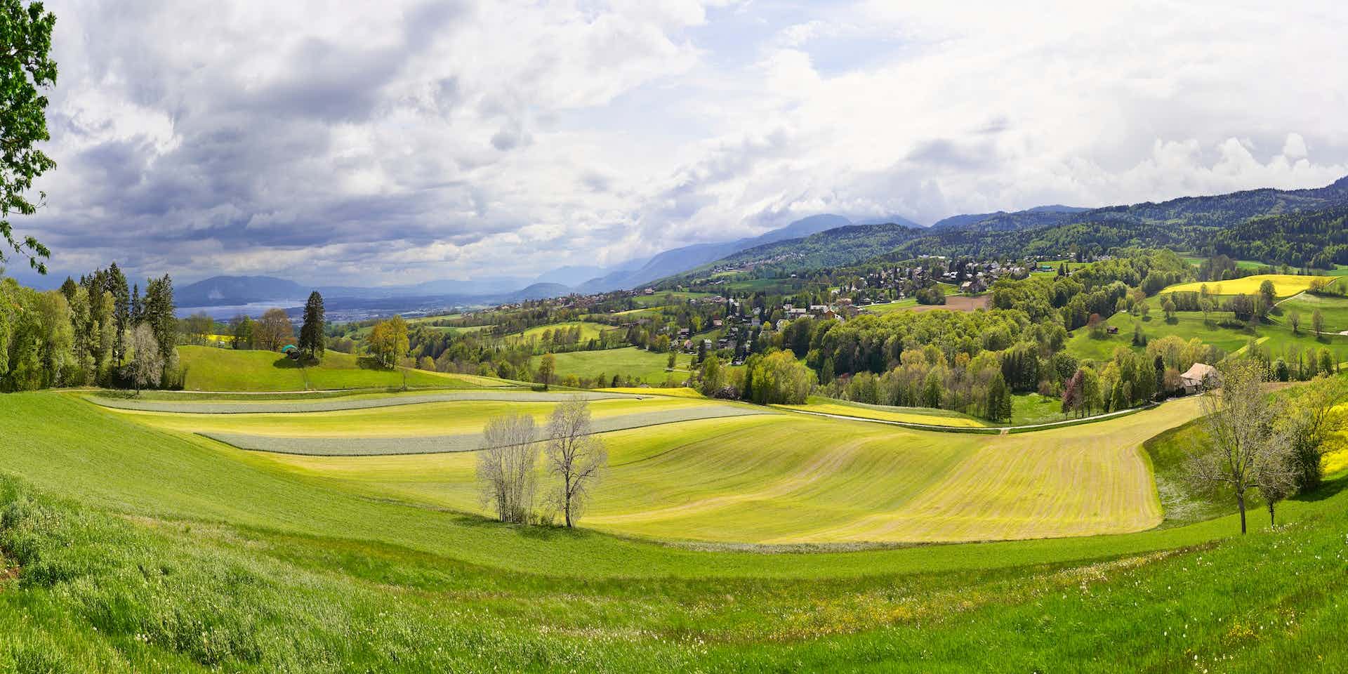 La Ferme Yverdon, producteur à Yverdon-les-Bains canton de Vaud en Suisse