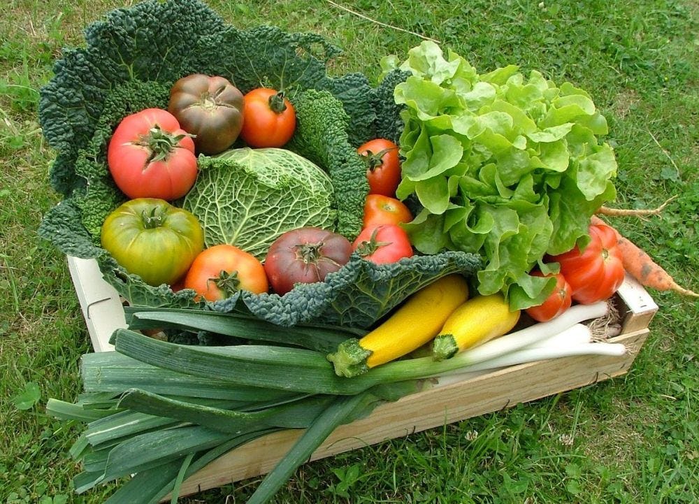 Basket of organic vegetables, Mimelis, Lausanne, image 1 | Mimelis