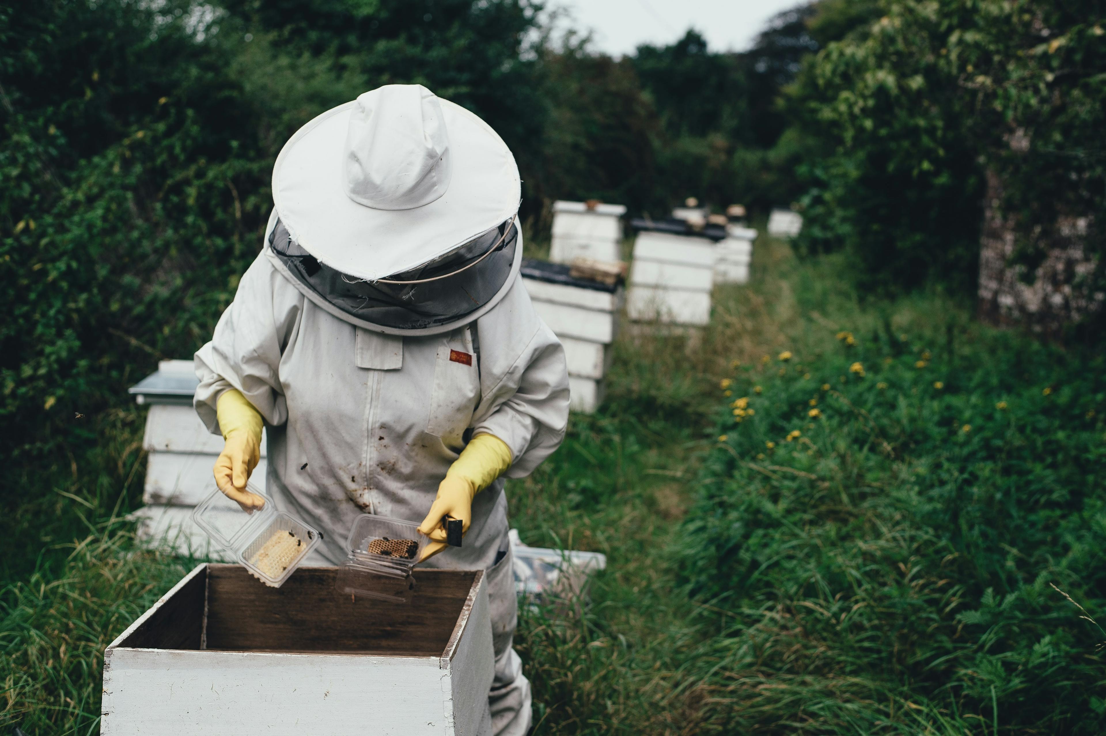 A simple and adapted solution to successfully sell your products as a beekeeper in Switzerland