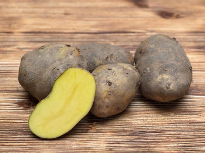 Pommes de terre Agria - brossée, Mimelis - Maraîcher, Carouge, image 1 | Mimelis