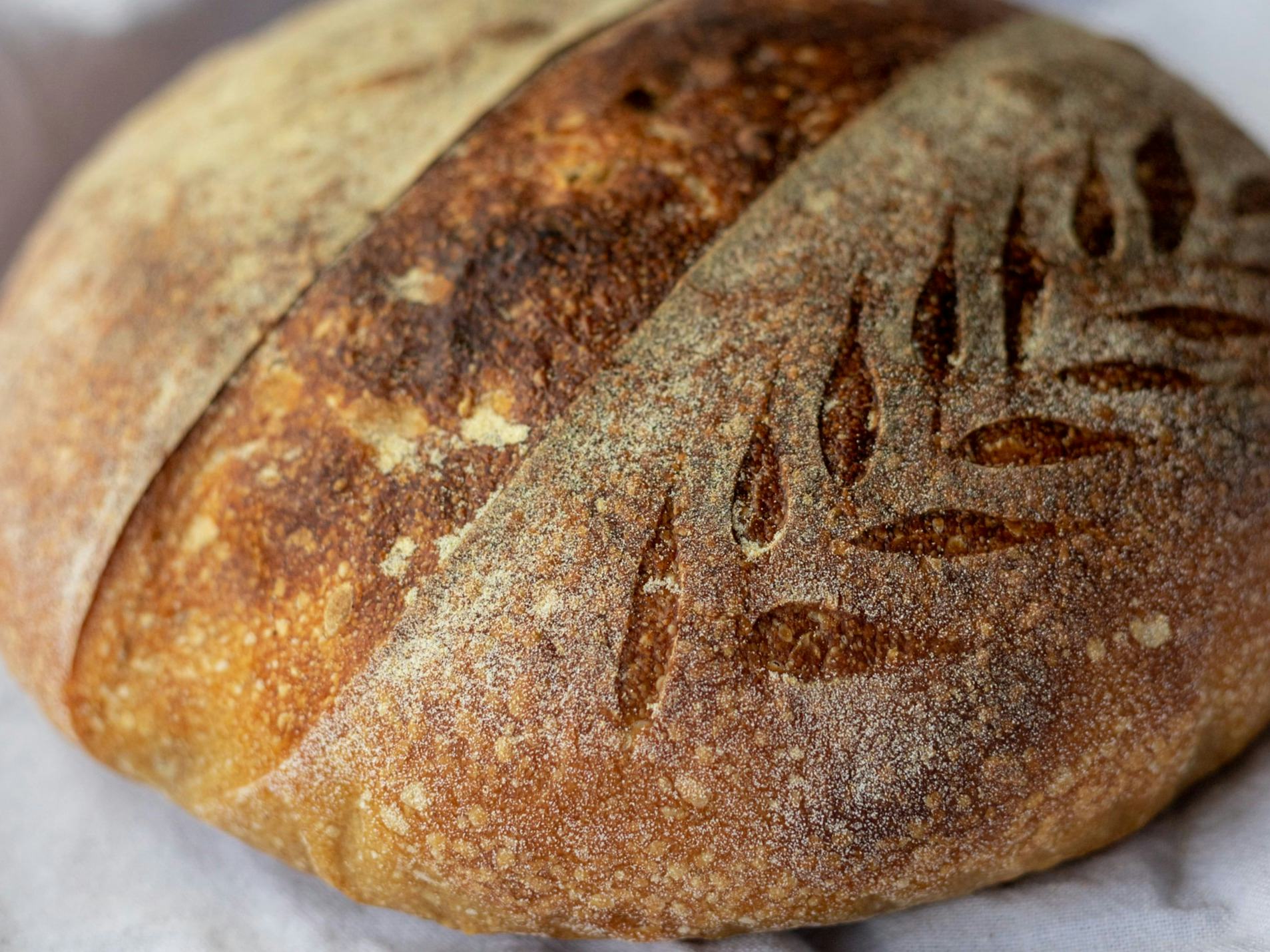 Pane di farina integrale, Mimelis - Boulangerie, Commugny, image 1 | Mimelis