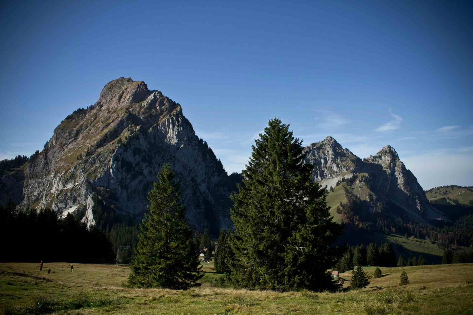 Rischbergweid, Produzent in Küssnacht am Rigi Kanton Schwyz in der Schweiz
