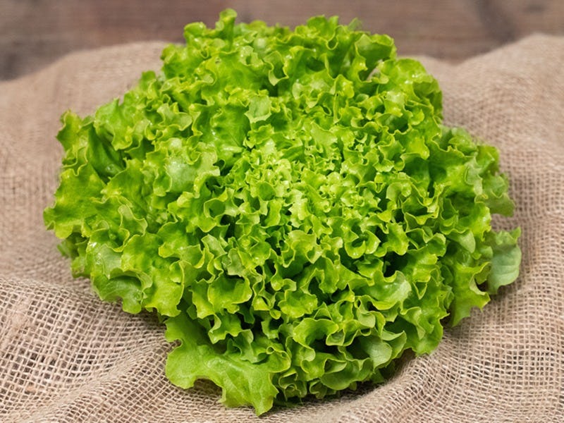 Green Batavia salad, Mimelis - Maraîcher, Carouge, image 1 | Mimelis