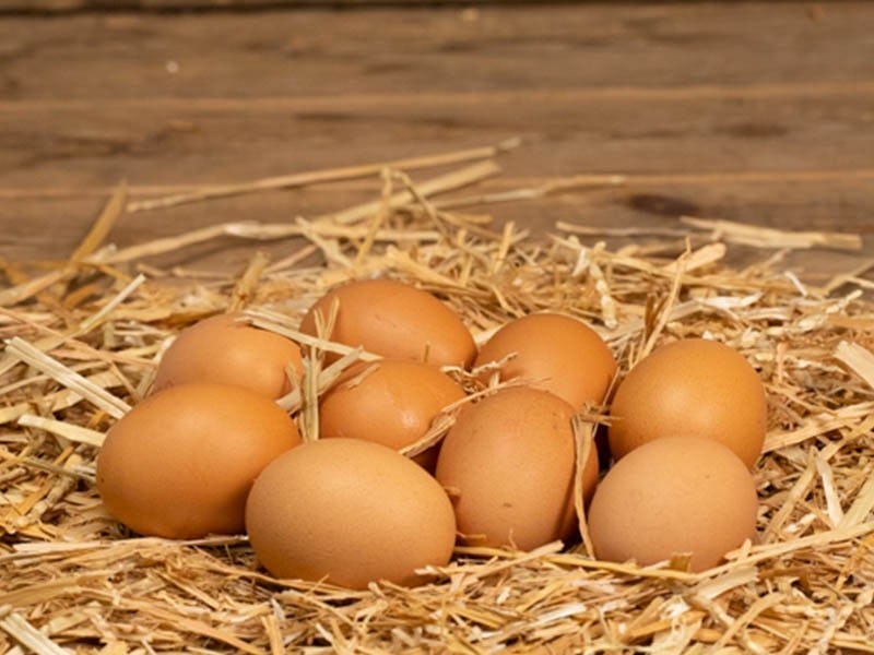 Fresh Organic Eggs x6, Mimelis - Marché de Carouge, Carouge, image 1 | Mimelis