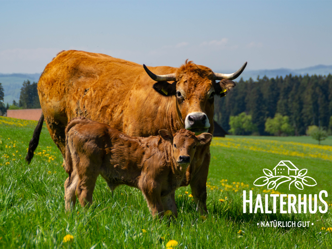 Halterhus, producteur à Ruswil canton de Lucerne en Suisse,  image 1