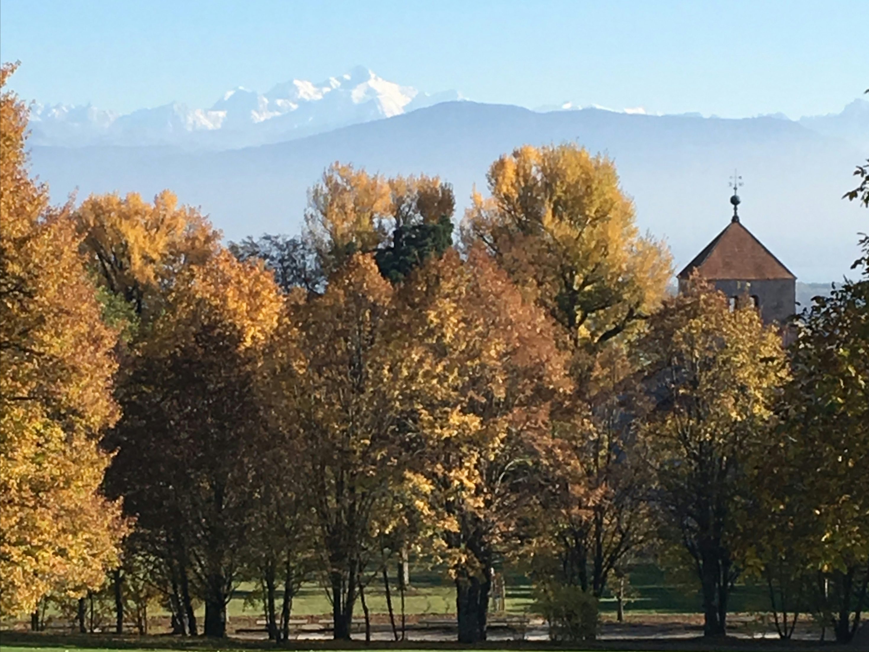 Abbaye de Bonmont, producer in Chéserex canton of Vaud in Switzerland, picture 1