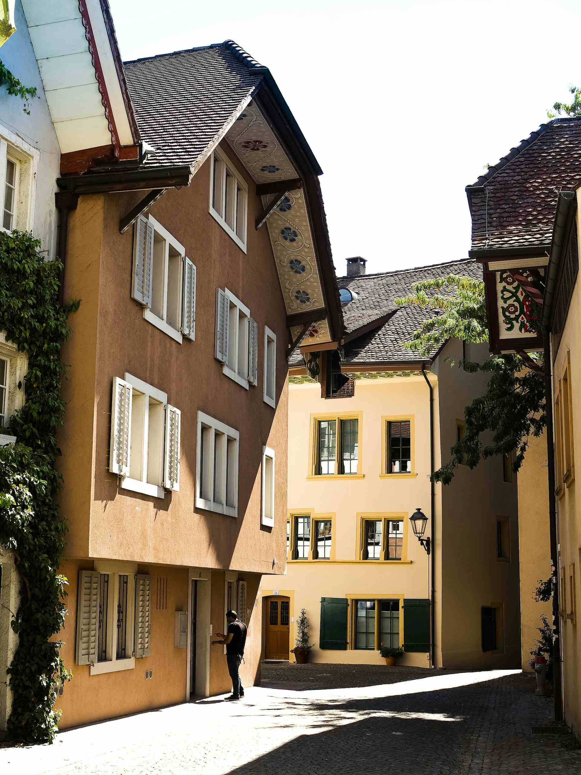 Binzenhof, producteur à Aarau canton de Argovie en Suisse